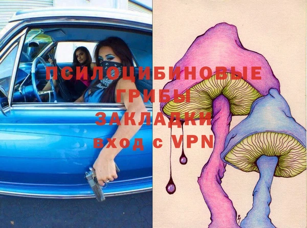 ГАЛЛЮЦИНОГЕННЫЕ ГРИБЫ Алексеевка