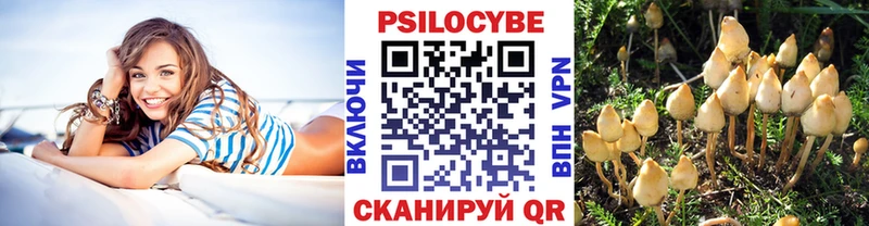 мега зеркало  Геленджик  Псилоцибиновые грибы Psilocybe 