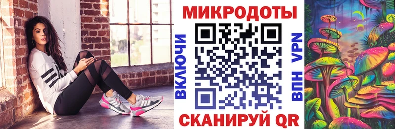 Псилоцибиновые грибы Cubensis Геленджик